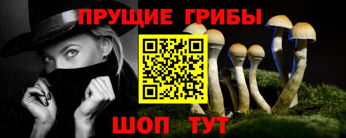 Псилоцибиновые грибы GOLDEN TEACHER Белорецк